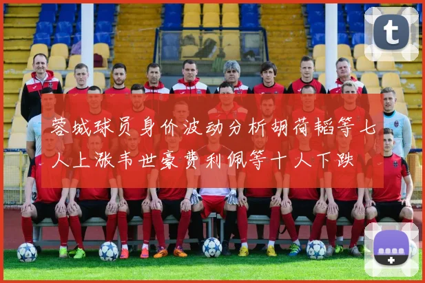 蓉城球员身价波动分析胡荷韬等七人上涨韦世豪费利佩等十人下跌