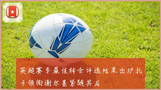 英超赛季最佳转会评选结果出炉扎卡领衔谢尔基紧随其后