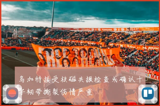 乌加特接受核磁共振检查或确认十字韧带撕裂伤情严重
